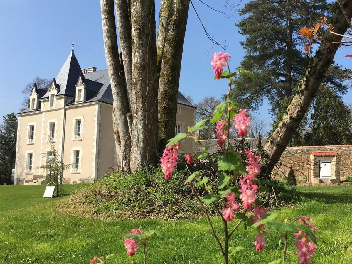 Le Petit Chateau Des Cedres Mouchamps Exterior foto